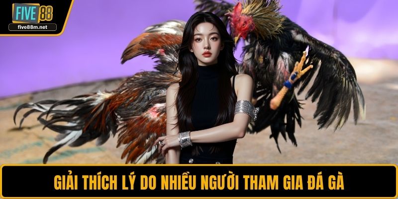 Giải thích lý do nhiều người tham gia đá gà