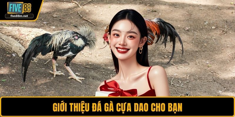 Giới thiệu đá gà cựa dao cho bạn